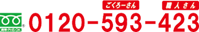 0120-593-423